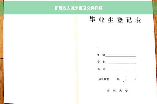 护理收入减少证明文件详解
