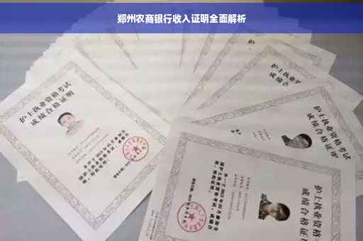 郑州农商银行收入证明全面解析