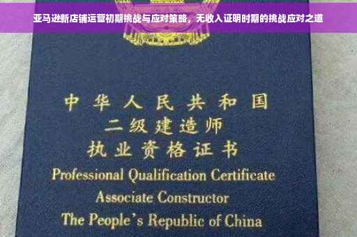 亚马逊新店铺运营初期挑战与应对策略，无收入证明时期的挑战应对之道