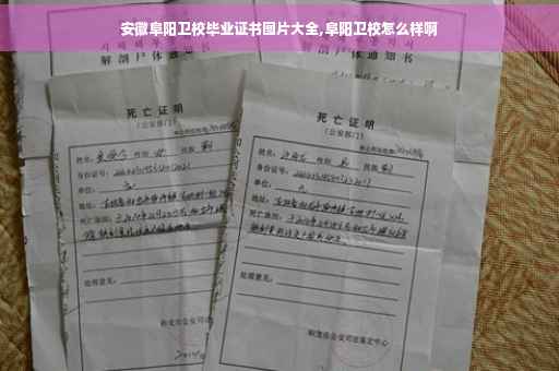 安徽阜阳卫校毕业证书图片大全,阜阳卫校怎么样啊