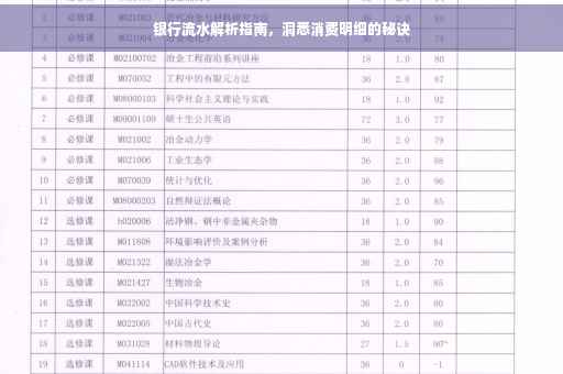 银行流水解析指南，洞悉消费明细的秘诀
