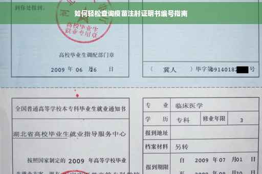 如何轻松查询疫苗注射证明书编号指南