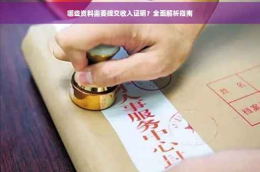 哪些资料需要提交收入证明？全面解析指南