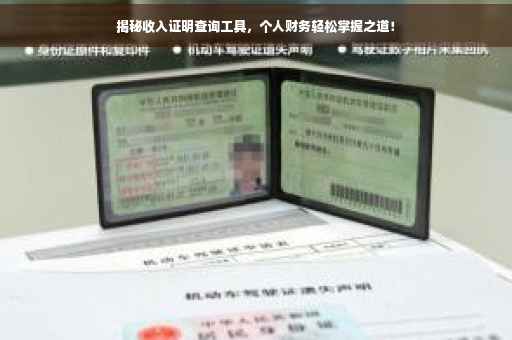 揭秘收入证明查询工具，个人财务轻松掌握之道！