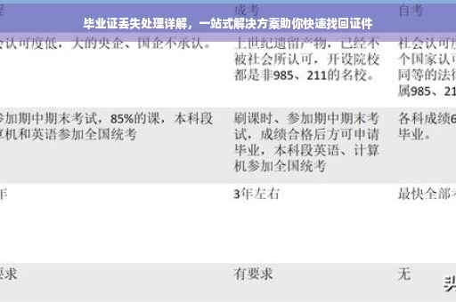 毕业证丢失处理详解，一站式解决方案助你快速找回证件