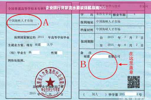 企业银行贷款流水要求详解指南?⚡️