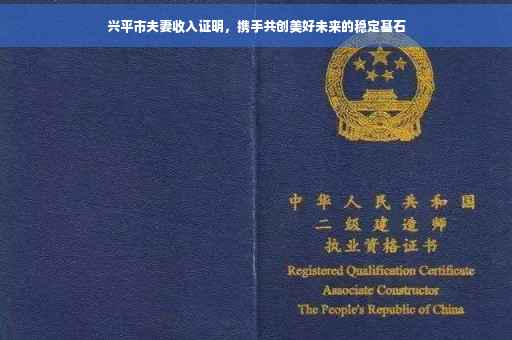 兴平市夫妻收入证明，携手共创美好未来的稳定基石