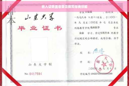 收入证明盖章意见撰写指南详解