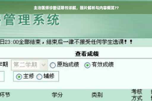 主治医师诊断证明书详解，图片解析与内容概览??