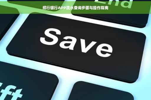 招行银行APP流水查询步骤与操作指南