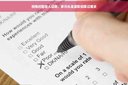 特殊时期收入证明，多元化来源助你度过难关