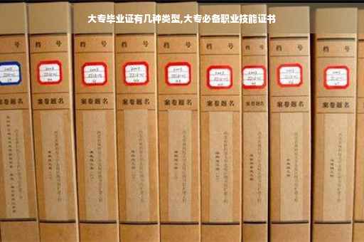 大专毕业证有几种类型,大专必备职业技能证书