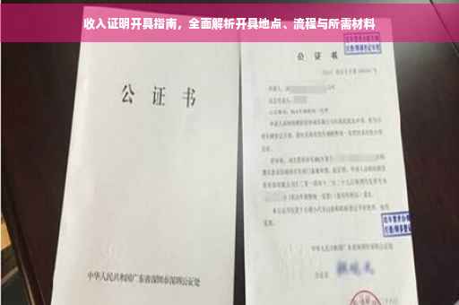 收入证明开具指南，全面解析开具地点、流程与所需材料