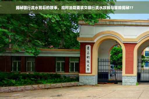 揭秘银行流水背后的故事，应对法院要求交银行流水攻略与策略揭秘??