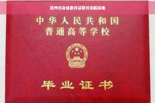 抚州市身体条件证明书详解指南