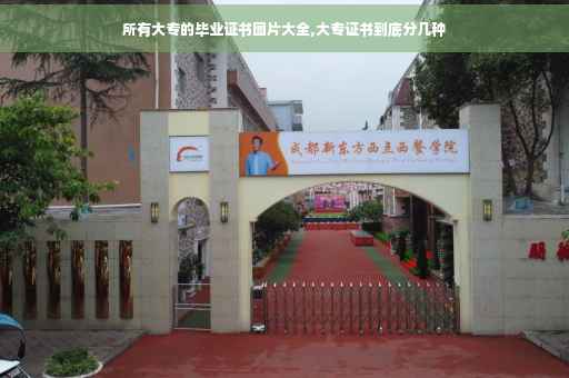 所有大专的毕业证书图片大全,大专证书到底分几种