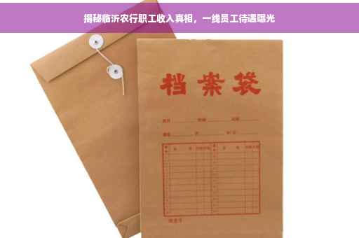 揭秘临沂农行职工收入真相，一线员工待遇曝光