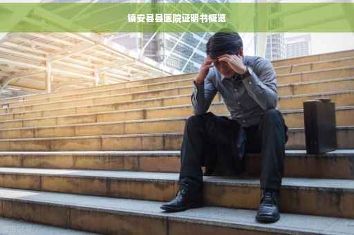 镇安县县医院证明书概览