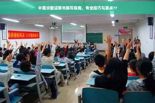 中医诊断证明书撰写指南，专业技巧与要点??
