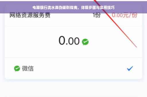 电脑银行流水真伪鉴别指南，详细步骤与实用技巧