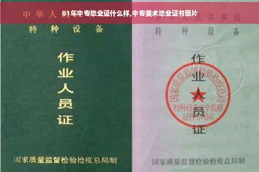 01年中专毕业证什么样,中专美术毕业证书图片