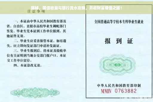 揭秘，国债收益与银行流水攻略，开启财富增值之旅！