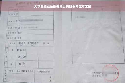 大学生毕业证遗失背后的故事与应对之策