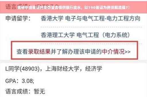 揭秘申请签证时是否需要提供银行流水，以190签证为例详解流程?✨