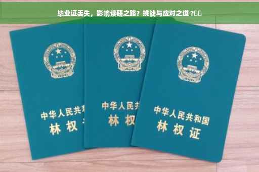 毕业证丢失，影响读研之路？挑战与应对之道 ?⚡️