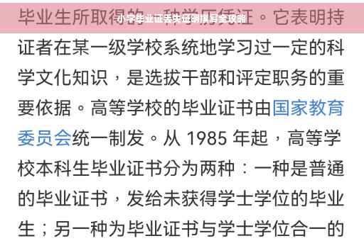 小学毕业证丢失证明撰写全攻略
