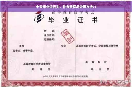 中专毕业证丢失，补办流程与处理方法??