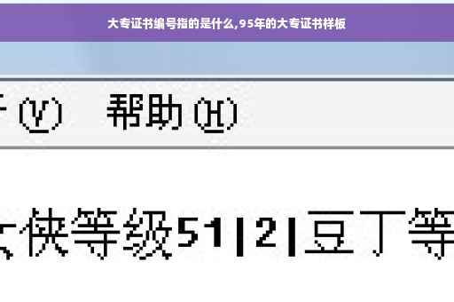 大专证书编号指的是什么,95年的大专证书样板