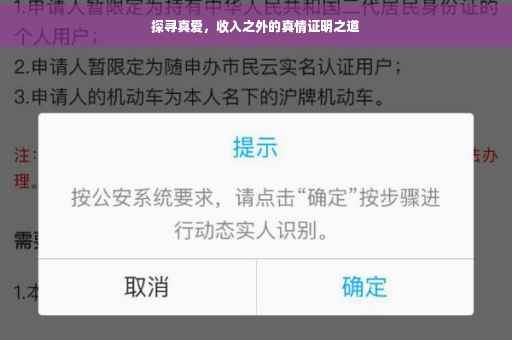 探寻真爱，收入之外的真情证明之道