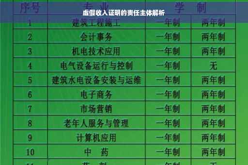 虚假收入证明的责任主体解析