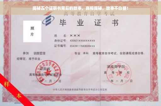 揭秘五个证明书背后的故事，真相揭秘，故事不白猜！