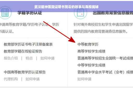 武汉精神医院证明书背后的故事与真相揭秘