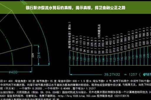 银行默许假流水背后的真相，揭示真相，捍卫金融公正之路