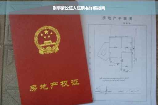 刑事诉讼证人证明书详解指南