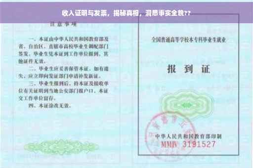 收入证明与发票，揭秘真相，洞悉事实全貌??