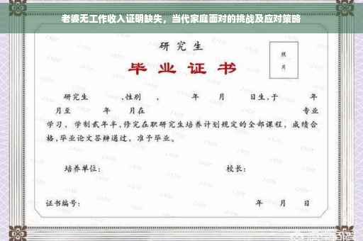 老婆无工作收入证明缺失，当代家庭面对的挑战及应对策略