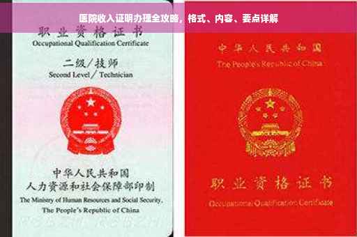 医院收入证明办理全攻略，格式、内容、要点详解