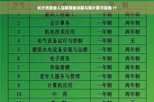 长沙贷款收入证明模板详解与图片展示指南 ??
