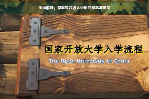 全面解析，家庭综合收入证明的概念与意义