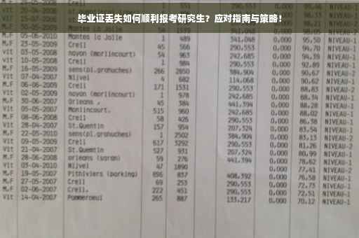 毕业证丢失如何顺利报考研究生？应对指南与策略！
