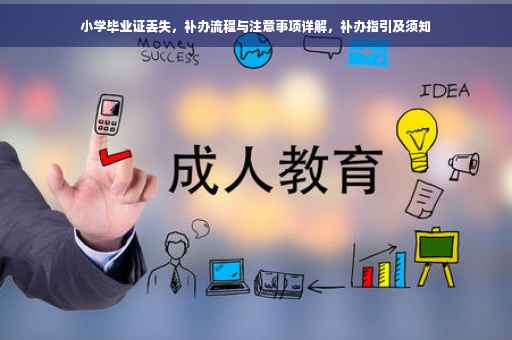 小学毕业证丢失，补办流程与注意事项详解，补办指引及须知