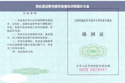 领东西证明书撰写指南与示例图片大全
