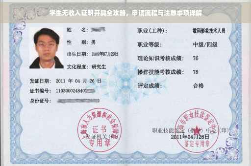 学生无收入证明开具全攻略，申请流程与注意事项详解