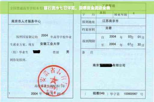 银行流水七日详览，洞悉资金流动全貌