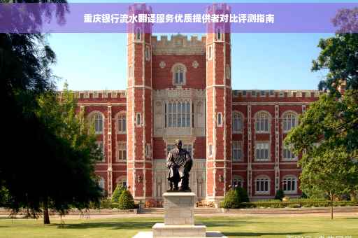 重庆银行流水翻译服务优质提供者对比评测指南