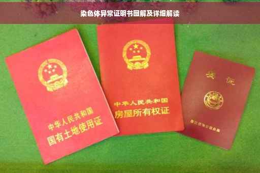 染色体异常证明书图解及详细解读